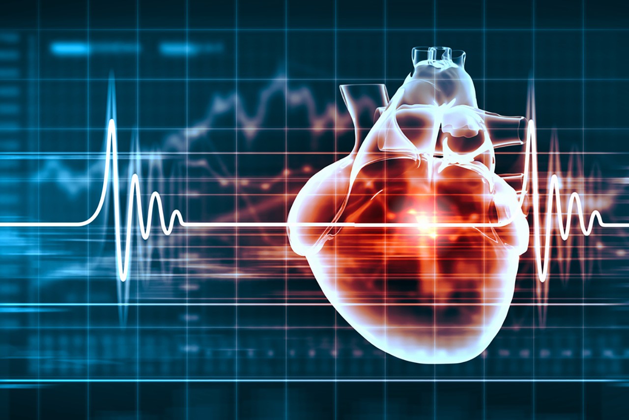 Cardiovascular Disease Diagnosis By electronic Nose Bioanalysis Zone