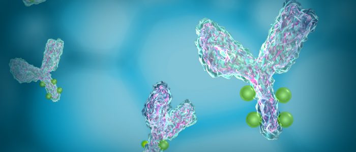 Antibody–drug conjugates - Bioanalysis Zone