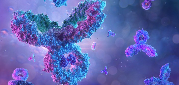 Singlicate analysis on the Gyrolab platform - Bioanalysis Zone