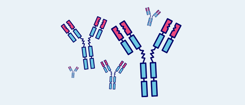 Immunogenicity