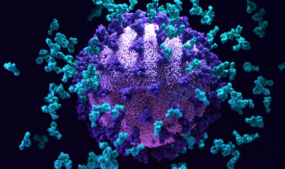 flow cytometry clinical